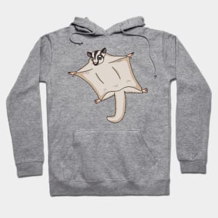 Cute flying sugar glider cartoon illustration Hoodie